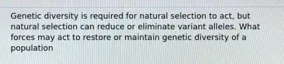 Genetic diversity is required for natural selection to act, but natural selection can reduce or eliminate variant alleles. What forces may act to restore or maintain genetic diversity of a population