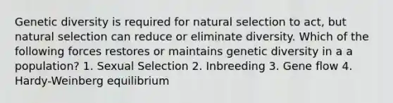 Genetic diversity is required for natural selection to act, but natural selection can reduce or eliminate diversity. Which of the following forces restores or maintains genetic diversity in a a population? 1. Sexual Selection 2. Inbreeding 3. Gene flow 4. Hardy-Weinberg equilibrium