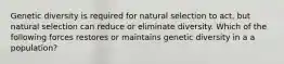 Genetic diversity is required for natural selection to act, but natural selection can reduce or eliminate diversity. Which of the following forces restores or maintains genetic diversity in a a population?