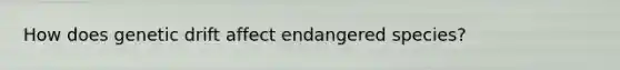 How does genetic drift affect endangered species?