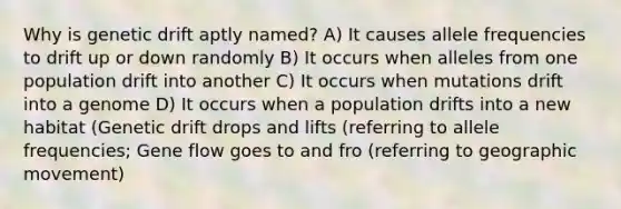 Why is genetic drift aptly named? A) It causes allele frequencies to drift up or down randomly B) It occurs when alleles from one population drift into another C) It occurs when mutations drift into a genome D) It occurs when a population drifts into a new habitat (Genetic drift drops and lifts (referring to allele frequencies; Gene flow goes to and fro (referring to geographic movement)