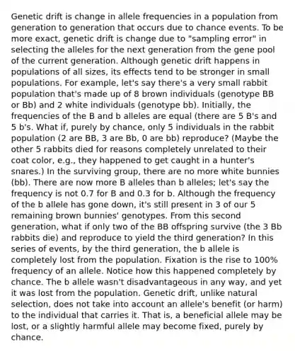 Genetic drift is change in allele frequencies in a population from generation to generation that occurs due to chance events. To be more exact, genetic drift is change due to "sampling error" in selecting the alleles for the next generation from the gene pool of the current generation. Although genetic drift happens in populations of all sizes, its effects tend to be stronger in small populations. For example, let's say there's a very small rabbit population that's made up of 8 brown individuals (genotype BB or Bb) and 2 white individuals (genotype bb). Initially, the frequencies of the B and b alleles are equal (there are 5 B's and 5 b's. What if, purely by chance, only 5 individuals in the rabbit population (2 are BB, 3 are Bb, 0 are bb) reproduce? (Maybe the other 5 rabbits died for reasons completely unrelated to their coat color, e.g., they happened to get caught in a hunter's snares.) In the surviving group, there are no more white bunnies (bb). There are now more B alleles than b alleles; let's say the frequency is not 0.7 for B and 0.3 for b. Although the frequency of the b allele has gone down, it's still present in 3 of our 5 remaining brown bunnies' genotypes. From this second generation, what if only two of the BB offspring survive (the 3 Bb rabbits die) and reproduce to yield the third generation? In this series of events, by the third generation, the b allele is completely lost from the population. Fixation is the rise to 100% frequency of an allele. Notice how this happened completely by chance. The b allele wasn't disadvantageous in any way, and yet it was lost from the population. Genetic drift, unlike natural selection, does not take into account an allele's benefit (or harm) to the individual that carries it. That is, a beneficial allele may be lost, or a slightly harmful allele may become fixed, purely by chance.