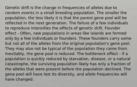 Genetic drift is the change in frequencies of alleles due to random events in a small breeding population. The smaller the population, the less likely it is that the parent gene pool will be reflected in the next generation. The failure of a few individuals to reproduce intensifies the effects of genetic drift. Founder effect - Often, new populations in areas like islands are formed only by a few individuals or founders. These founders carry some but not all of the alleles from the original population's gene pool. They may also not be typical of the population they came from. Inevitably, the gene pool is reduced. The bottleneck effect - if a population is quickly reduced by starvation, disease, or a natural catastrophe, the surviving population likely has only a fraction of the alleles that were present before the population declined. The gene pool will have lost its diversity, and allele frequencies will have changed.