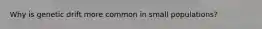 Why is genetic drift more common in small populations?