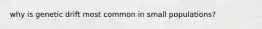 why is genetic drift most common in small populations?