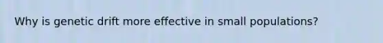 Why is genetic drift more effective in small populations?