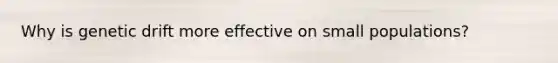 Why is genetic drift more effective on small populations?