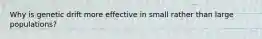 Why is genetic drift more effective in small rather than large populations?