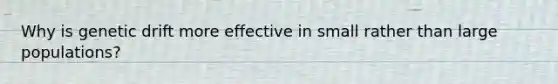 Why is genetic drift more effective in small rather than large populations?