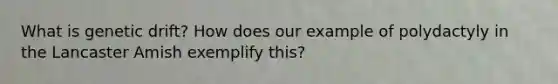 What is genetic drift? How does our example of polydactyly in the Lancaster Amish exemplify this?