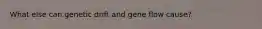 What else can genetic drift and gene flow cause?