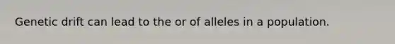 Genetic drift can lead to the or of alleles in a population.