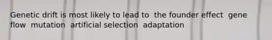 Genetic drift is most likely to lead to ​ the founder effect ​ gene flow ​ mutation ​ artificial selection ​ adaptation