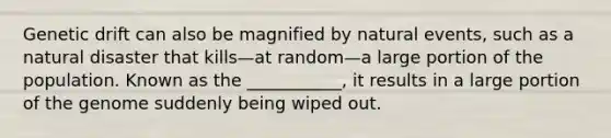 Genetic drift can also be magnified by natural events, such as a natural disaster that kills—at random—a large portion of the population. Known as the ___________, it results in a large portion of the genome suddenly being wiped out.