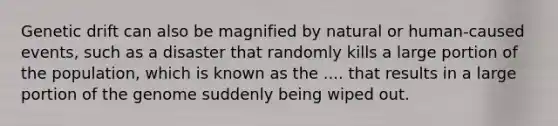 Genetic drift can also be magnified by natural or human-caused events, such as a disaster that randomly kills a large portion of the population, which is known as the .... that results in a large portion of the genome suddenly being wiped out.