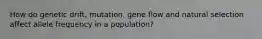 How do genetic drift, mutation, gene flow and natural selection affect allele frequency in a population?