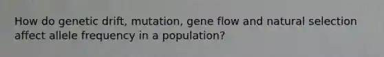 How do genetic drift, mutation, gene flow and natural selection affect allele frequency in a population?