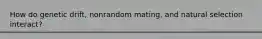 How do genetic drift, nonrandom mating, and natural selection interact?