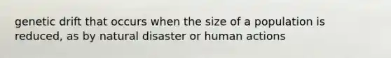 genetic drift that occurs when the size of a population is reduced, as by natural disaster or human actions