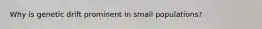 Why is genetic drift prominent in small populations?
