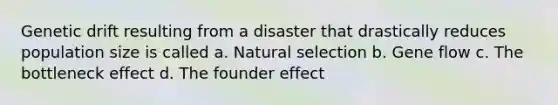 Genetic drift resulting from a disaster that drastically reduces population size is called a. Natural selection b. Gene flow c. The bottleneck effect d. The founder effect