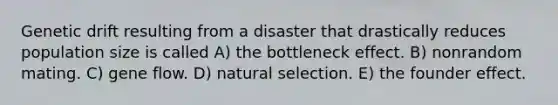 Genetic drift resulting from a disaster that drastically reduces population size is called A) the bottleneck effect. B) nonrandom mating. C) gene flow. D) natural selection. E) the founder effect.