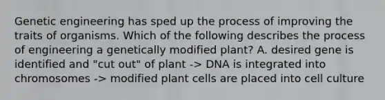 Genetic engineering has sped up the process of improving the traits of organisms. Which of the following describes the process of engineering a genetically modified plant? A. desired gene is identified and "cut out" of plant -> DNA is integrated into chromosomes -> modified plant cells are placed into cell culture