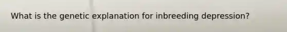 What is the genetic explanation for inbreeding depression?