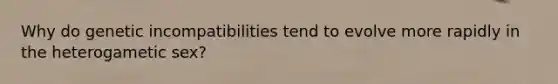Why do genetic incompatibilities tend to evolve more rapidly in the heterogametic sex?