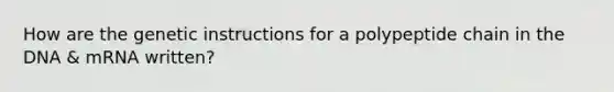 How are the genetic instructions for a polypeptide chain in the DNA & mRNA written?