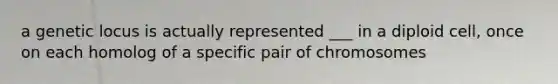 a genetic locus is actually represented ___ in a diploid cell, once on each homolog of a specific pair of chromosomes