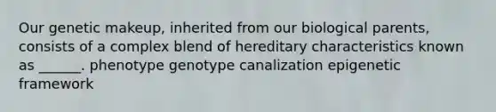 Our genetic makeup, inherited from our biological parents, consists of a complex blend of hereditary characteristics known as ______. phenotype genotype canalization epigenetic framework