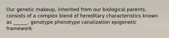 Our genetic makeup, inherited from our biological parents, consists of a complex blend of hereditary characteristics known as ______. genotype phenotype canalization epigenetic framework