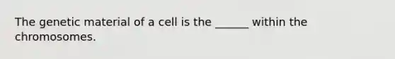 The genetic material of a cell is the ______ within the chromosomes.