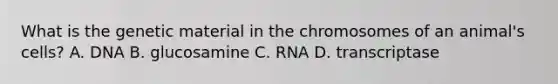 What is the genetic material in the chromosomes of an animal's cells? A. DNA B. glucosamine C. RNA D. transcriptase