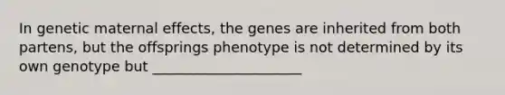 In genetic maternal effects, the genes are inherited from both partens, but the offsprings phenotype is not determined by its own genotype but _____________________