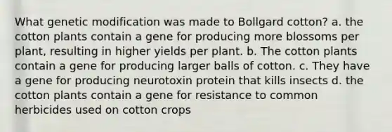 What genetic modification was made to Bollgard cotton? a. the cotton plants contain a gene for producing more blossoms per plant, resulting in higher yields per plant. b. The cotton plants contain a gene for producing larger balls of cotton. c. They have a gene for producing neurotoxin protein that kills insects d. the cotton plants contain a gene for resistance to common herbicides used on cotton crops