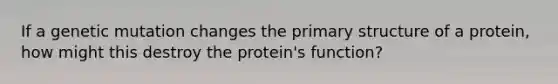 If a genetic mutation changes the primary structure of a protein, how might this destroy the protein's function?