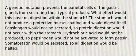 A genetic mutation prevents the parietal cells of the gastric glands from secreting their typical products. What effect would this have on digestion within the stomach? The stomach would not produce a protective mucus coating and would digest itself. Pepsinogen would not be secreted, so protein digestion would not occur within the stomach. Hydrochloric acid would not be produced, so pepsinogen would not be activated to form pepsin. Somatostatin would be secreted, so all digestion would be halted.