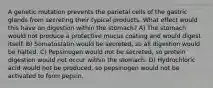 A genetic mutation prevents the parietal cells of the gastric glands from secreting their typical products. What effect would this have on digestion within the stomach? A) The stomach would not produce a protective mucus coating and would digest itself. B) Somatostatin would be secreted, so all digestion would be halted. C) Pepsinogen would not be secreted, so protein digestion would not occur within the stomach. D) Hydrochloric acid would not be produced, so pepsinogen would not be activated to form pepsin.