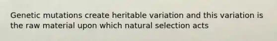 Genetic mutations create heritable variation and this variation is the raw material upon which natural selection acts