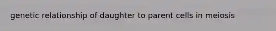 genetic relationship of daughter to parent cells in meiosis