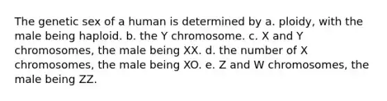 The genetic sex of a human is determined by a. ploidy, with the male being haploid. b. the Y chromosome. c. X and Y chromosomes, the male being XX. d. the number of X chromosomes, the male being XO. e. Z and W chromosomes, the male being ZZ.