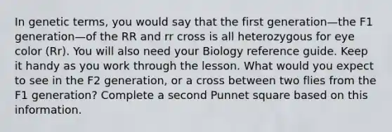 In genetic terms, you would say that the first generation—the F1 generation—of the RR and rr cross is all heterozygous for eye color (Rr). You will also need your Biology reference guide. Keep it handy as you work through the lesson. What would you expect to see in the F2 generation, or a cross between two flies from the F1 generation? Complete a second Punnet square based on this information.