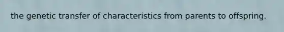 the genetic transfer of characteristics from parents to offspring.