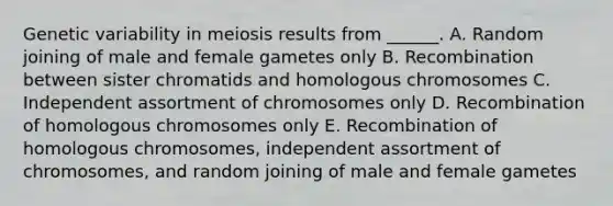 Genetic variability in meiosis results from ______. A. Random joining of male and female gametes only B. Recombination between sister chromatids and homologous chromosomes C. Independent assortment of chromosomes only D. Recombination of homologous chromosomes only E. Recombination of homologous chromosomes, independent assortment of chromosomes, and random joining of male and female gametes