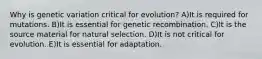 Why is genetic variation critical for evolution? A)It is required for mutations. B)It is essential for genetic recombination. C)It is the source material for natural selection. D)It is not critical for evolution. E)It is essential for adaptation.