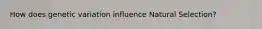 How does genetic variation influence Natural Selection?