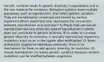 Genetic variation leads to genetic diversity in populations and is the raw material for evolution. Biological systems have multiple processes, such as reproduction, that affect genetic variation. They are evolutionarily conserved and shared by various organisms.Which statement best represents the connection between reproduction and evolution? A) Plants that use sexual reproduction are rare since this type of reproduction in plants does not contribute to genetic diversity. B) In order to increase genetic diversity for evolution in sexually reproducing organisms, mutations must occur in the zygote after fertilization. C) Since prokaryotic organisms reproduce asexually, there is no mechanism for them to add genetic diversity for evolution. D) Sexual reproduction increases genetic variation because random mutations can be shuffled between organisms.