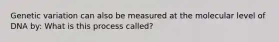 Genetic variation can also be measured at the molecular level of DNA by: What is this process called?